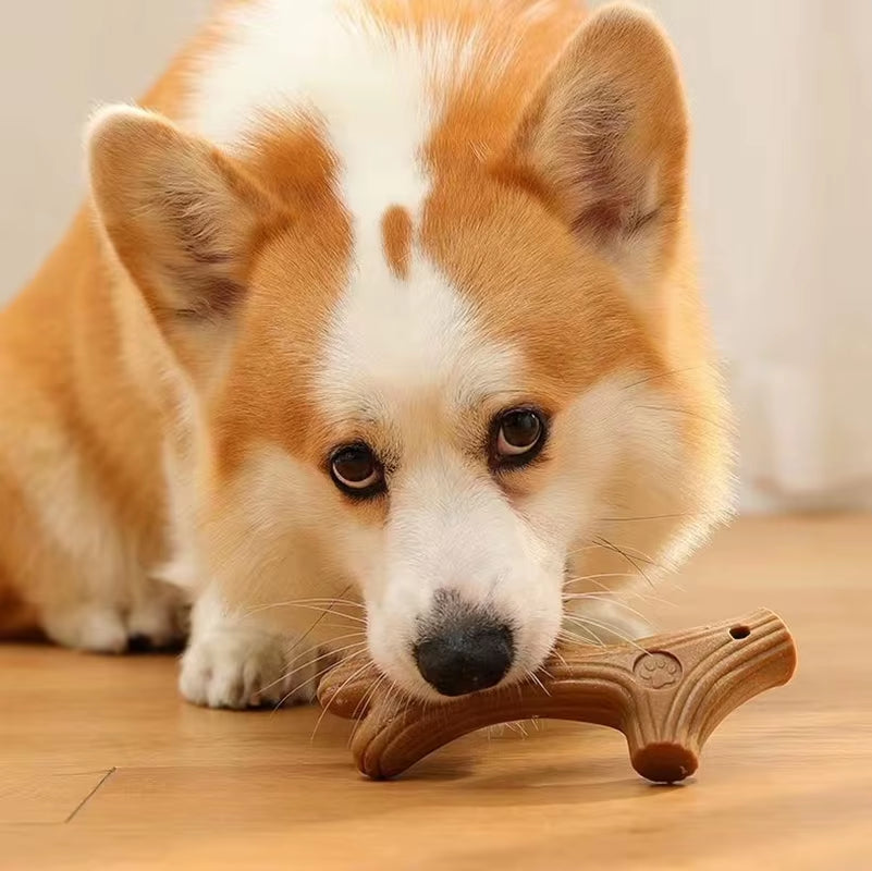 Durable Pine Wood Dog Chew Toy - Bite Resistant Molar Cleaning Stick in Cute Bone Shape