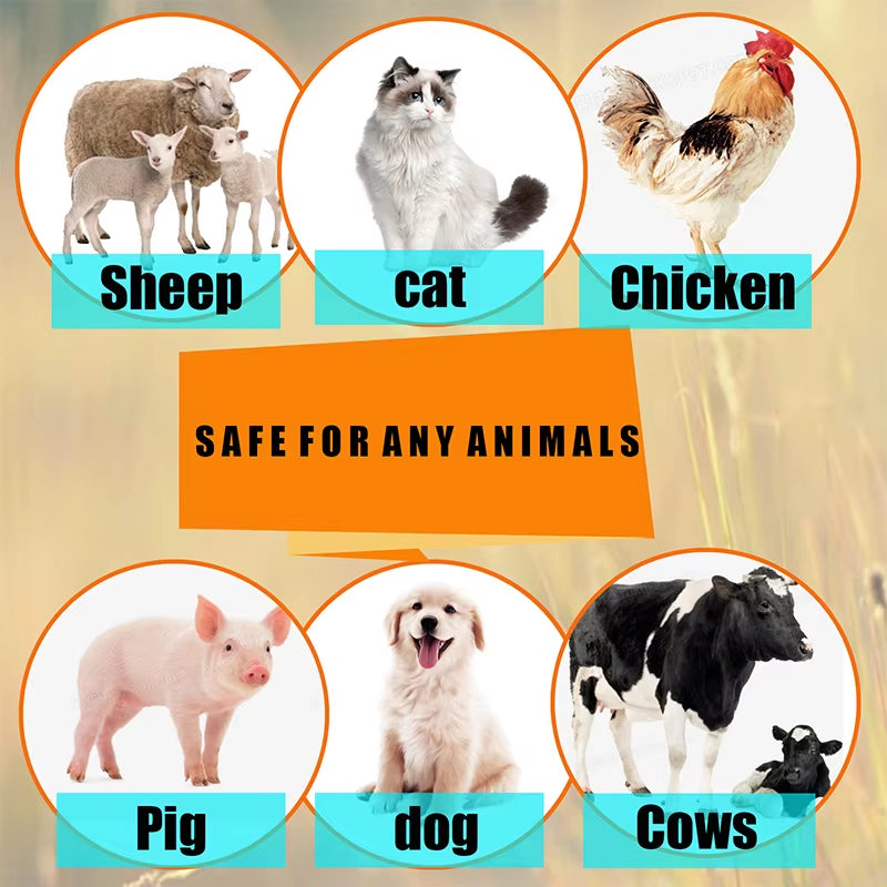Flea and Tick Control against Fleas for Cats Antiparasitic Dogs Pet Itching Stop Fighting Insecticicid anti Spray Health Care