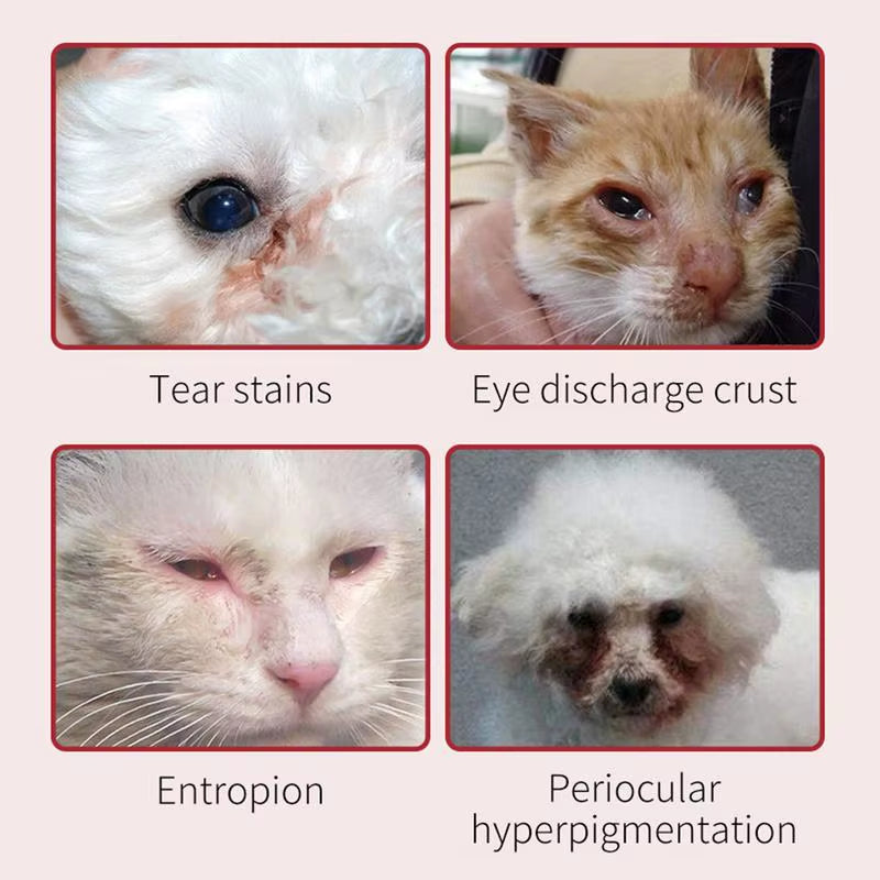 30G Pet Tear Scar Cream Dog Eye Stain Remover Eyes Wipe Cream for Dogs and Cats Eye Care Gently Cleanses Pet Accessories