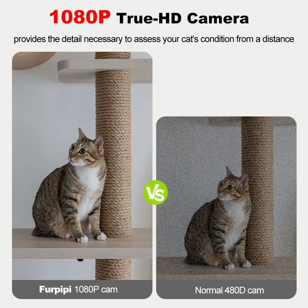 8L Smart Automatic Cat Feeders with 1080P HD Camera 5G Wifi Pet Feeder Tuya APP Control Automatic Cat Dog Food Dispenser